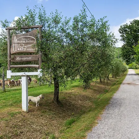 Fattoria Podere Peciano בית חווה *
