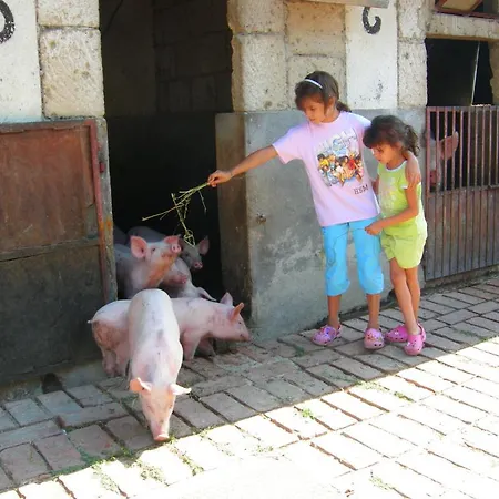 Fattoria Podere Peciano קורטונה