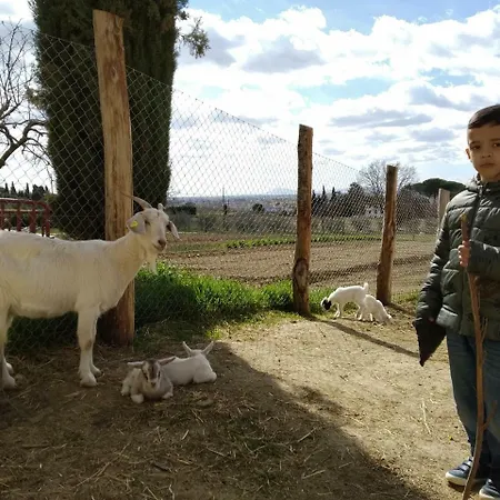 Fattoria Podere Peciano Lantgård *